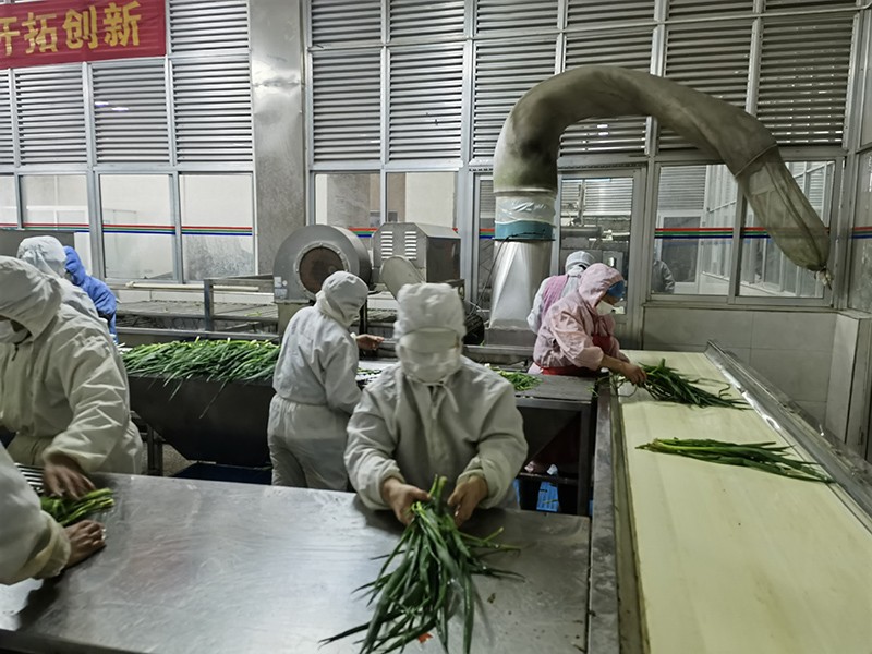 脫水蔥圈系列1